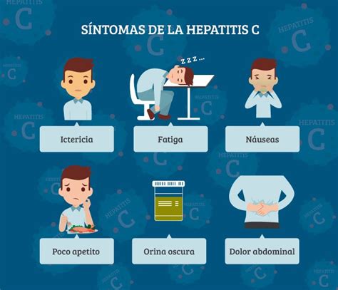 Hepatitis C Síntomas Diagnóstico y Prevención Meditip