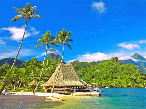 Tropical Scenery Coast Palm Trees Huts Bungalows Mountains Blue Sky