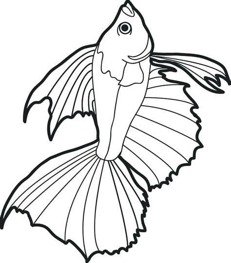 Animal coloring pages pattern coloring books coloring for kids fish coloring page stained glass patterns crafts ocean themes painted rocks. Realistic Fish Coloring Pages at GetColorings.com | Free ...
