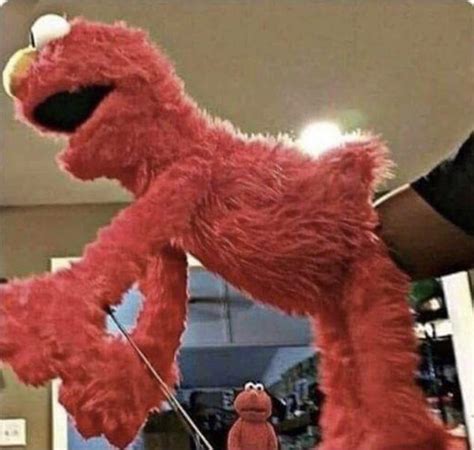 I Believe This Self Reflecting Elmo Template Had Impeccable Market