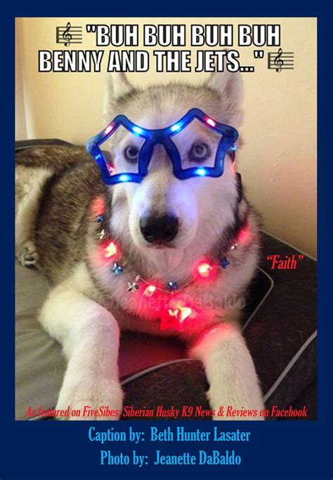 Red White Blue And Husky On A Festive Merry Meme Monday