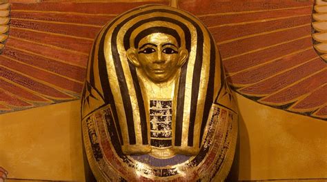 visita tutankhamun exhibition en dorchester expedia mx