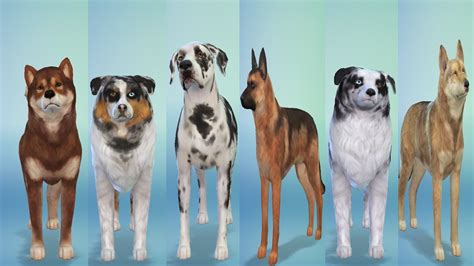 How To Mate Pets In Sims 4