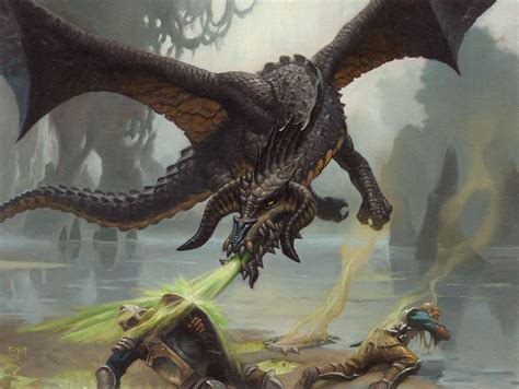 Black Dragon Mtg Art From Adventures In The Forgotten Realms Set By Mark Zug Art Of Magic The