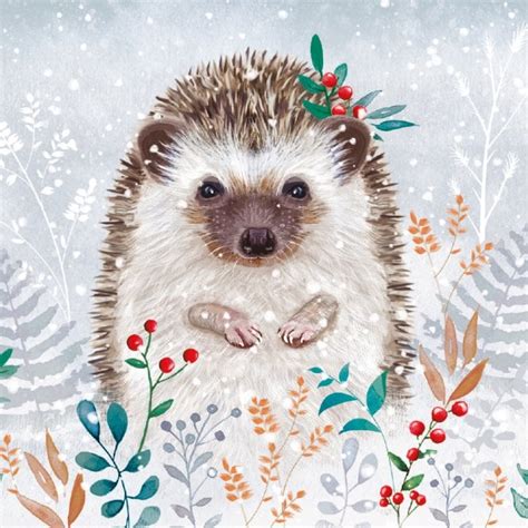 Museums Galleries Winter Foliage Hedgehog Charity Christmas Cards