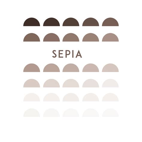 Sepia Procreate Swatch Color Palette 30 Sepia Color Tones Etsy