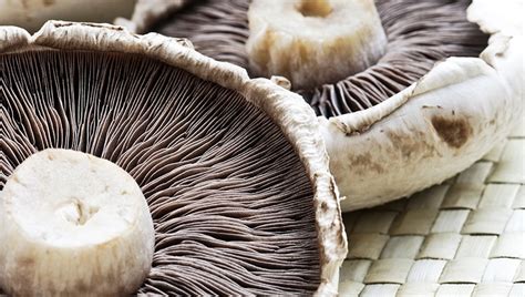 Mushroom Nutrition: Health Benefits, Calories, Vitamins, and Facts
