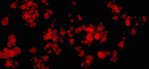 While this tutorial isn't specifically a blood splatter tutorial, you can make it look like blood with color change. blood splatter by c-sparkle-the-rebel on DeviantArt