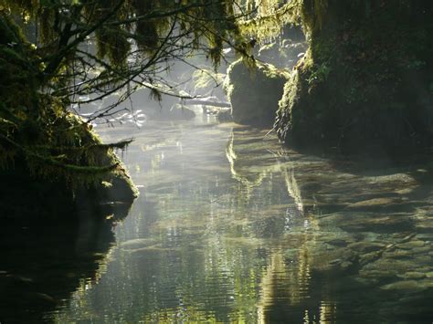 MARCHE A LA CORDEE LA PETITE AMAZONIE