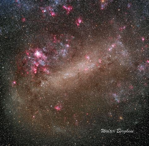 Large Magellanic Cloud Telescope Live