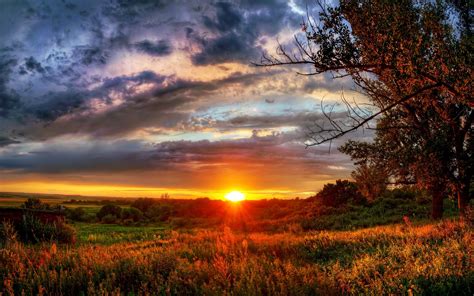 sunset, Field, Trees, Landscape Wallpapers HD / Desktop and Mobile Backgrounds