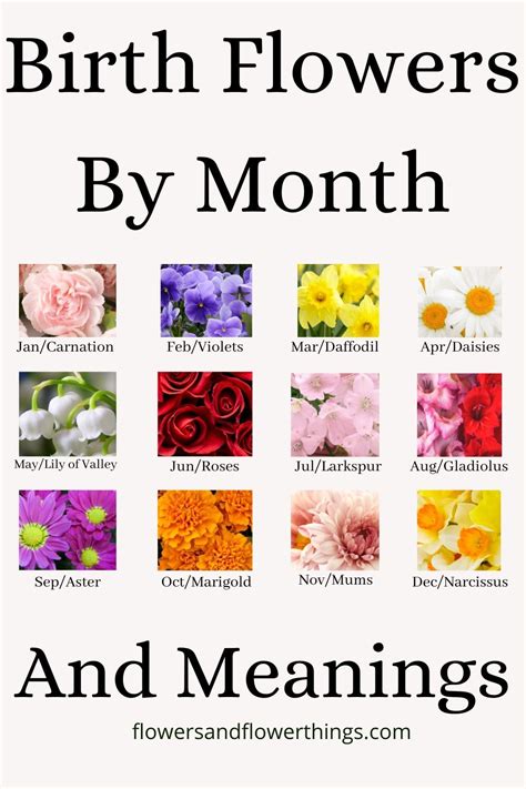 Birth Flowers By Month And Meaning Flowersandflowerthings Birth