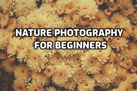 Nature Photography For Beginners