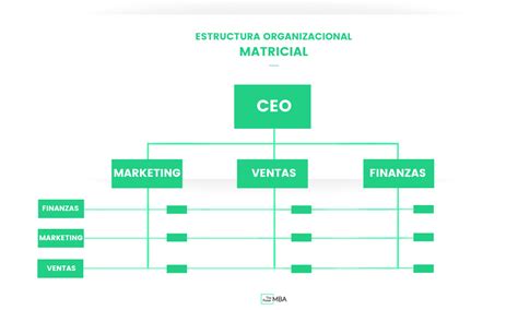 Los Diferentes Tipos De Estructuras Organizativas De Una Empresa 2023