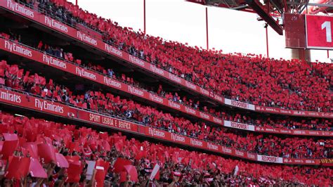 Get the predicted lineups and confirmed starting 11s. Santa Clara Benfica - Santa Clara X Benfica Liga Nos 2020 ...