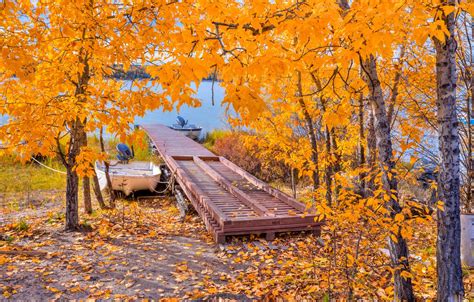 Wallpaper Autumn Leaves Trees Lake Boat The Bridge Images For