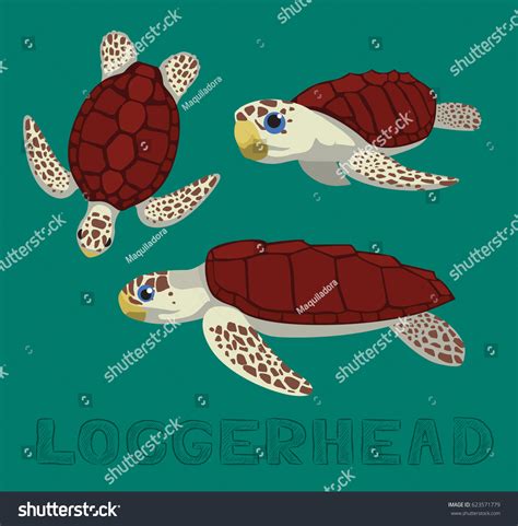 Sea Turtle Loggerhead Cartoon Vector Illustration เวกเตอร์สต็อก ปลอด