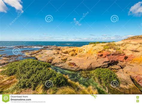 New Zealand Colorful Coast Landscape Stock Photo Image Of Radiant
