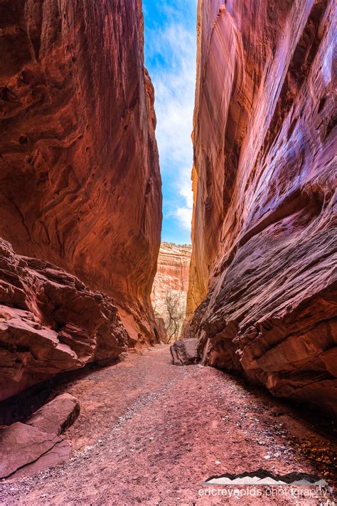 Caryl can play the concertina, and you and i can do the singing. Singing Canyon by Eric Reynolds - Landscape Photographer