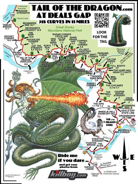 Tail Of The Dragon Map Smokies Great Smoky Mountains Map