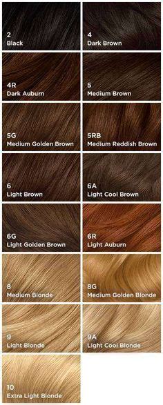 Auburn Brown Hair Color Chart Hair Color Chart Pinterest Brown