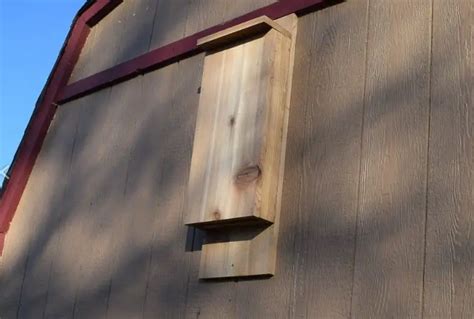 51 Bat House Diy Plans Cut The Wood