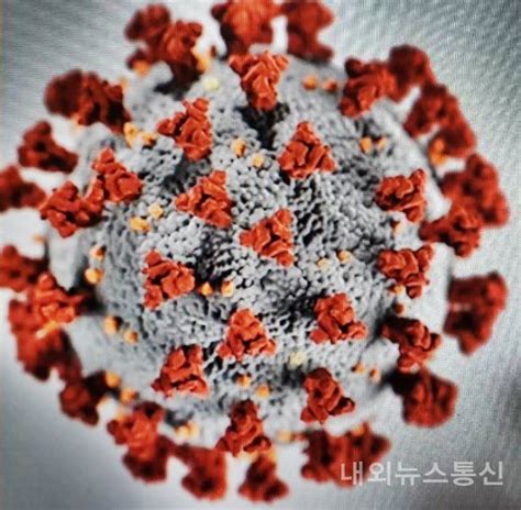 #모더나 #백신 2차 접종 실제 후기. 모더나 관련주 SK케미칼·엔투텍 등... 정부 발표 속 관련주 눈길 ...
