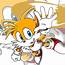 Tails The Cute Fox  YouTube