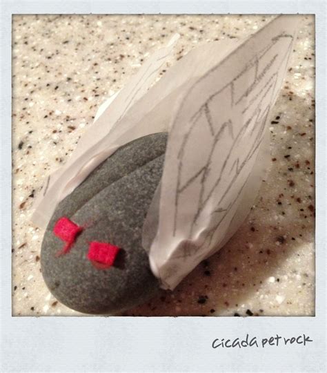 Rivers Pet Cicada Rock Kids Classroom Crafts Arts And
