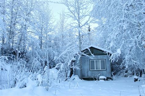 Cabin In Snowy Winter Forest Free Image Download