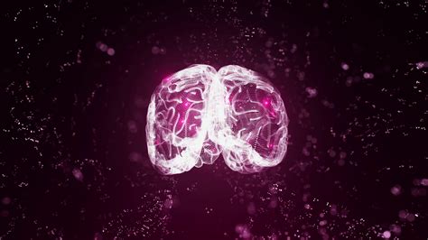 Holographic Human Brain Rotating Against Stock Motion Graphics Sbv