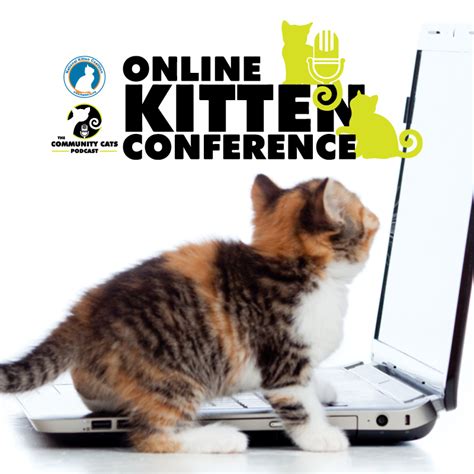 2023 Online Kitten Conference The Community Cats Podcast