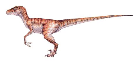 # chris pratt # jurassic world # yahoo movies # bryce dallas howard # velociraptor. Velociraptor | Land Before Time Wiki | FANDOM powered by Wikia