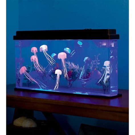 Modern Jellyfish Aquarium Kit Jellyfish Aquarium Jellyfish Tank