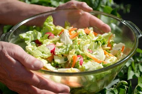 Bowl Of Garden Salad Stock Photo Image Of Health Holding 31013022