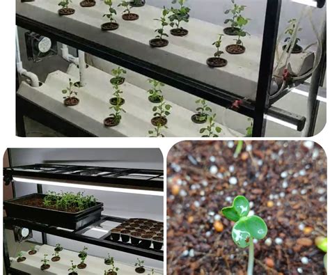 Indoor Hydroponic Vegetable Growing System 9 Steps With Pictures