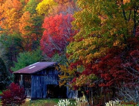 Fall In Kentucky Barbourville Photo Album Topix Scenery Kentucky