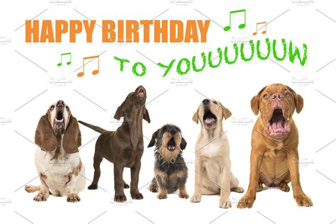 Dogs Singing Happy Birthday High Quality Animal Stock