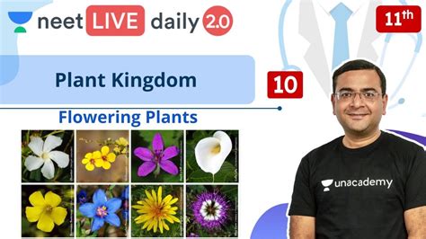 Neet Plant Kingdom L10 Angiosperms Class 11 Live Daily 20