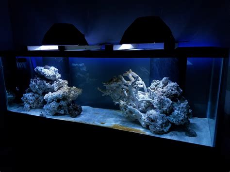 180 Gallon Reef Tank 2 Weeks In Rreeftank