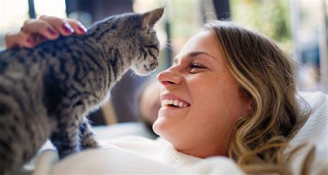11 Telltale Signs Youre A Cat Person Cat Lady Or Cat Guy
