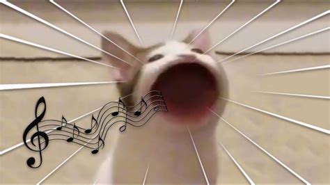 Pop Cat Learns To Sing Youtube