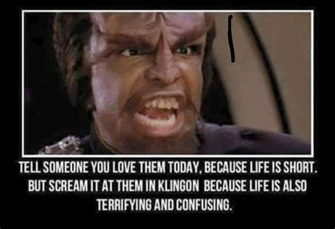 Pin By Melissa Lepage On Star Trek Star Trek Funny Klingon New Star