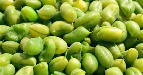 Edamame, also popular as green vegetable soybeans or mangetout, are raw, young, immature beans in the pod of a soybean plant. Is Edamame Keto-friendly? - Edamame Nutrition Facts and ...