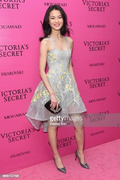 2017 Victorias Secret Fashion Show After Party On November 20 2017 In