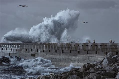 People Watching Sea Storm Stock Photo Image Of Stormy 273984864