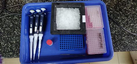 The fear is this could enable people to cheat travel restrictions. Economical COVID-19 test 'COVIRAP' gets ICMR certification ...