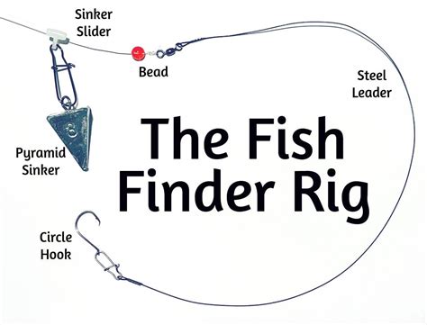 The Fish Finder Rig Master The Most Effective Rig For Surf Fishing