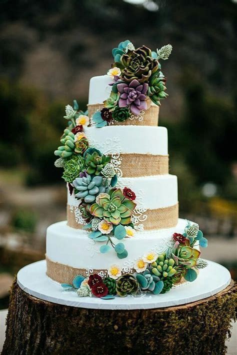 Cakealternatives In Succulent Wedding Cakes Lace Wedding Cake