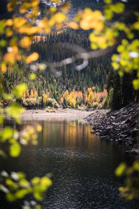 Landscape View Of A Lake Snow Capped Mountains And Fall Foliage Near